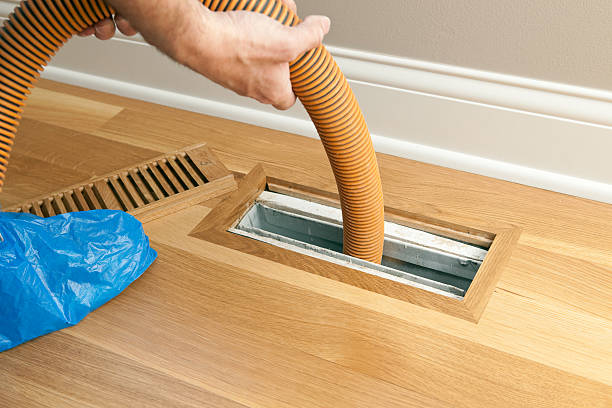 Best Dryer Vent Cleaning Services  in Zeeland, MI